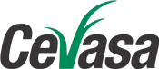 Cevasa