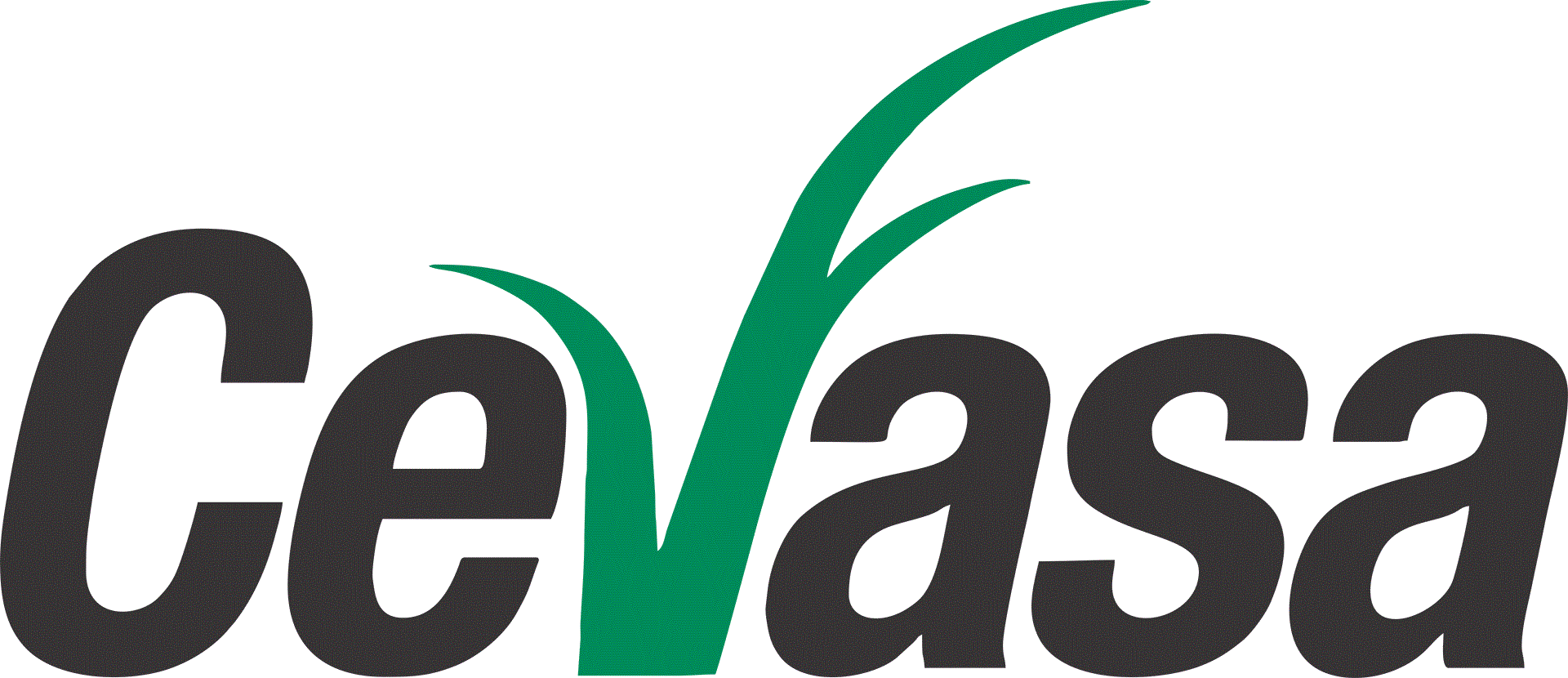 CEVASA_logo - Cópia2